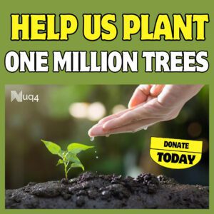 Donate a Tree Today