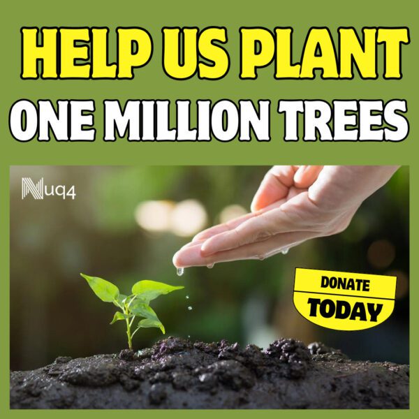 Donate a Tree Today